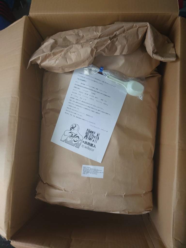 540プロジェクト WPI 3kg プロテイン - その他 加工食品